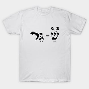 Shirts in solidarity with Israel T-Shirt